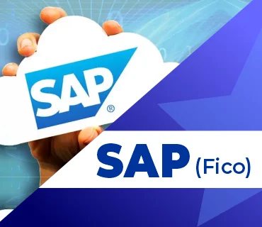 Best SAP FICO Online Training with Placement in Hyderabad | Oasis Technologies
